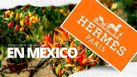 Somos mayoristas en decoración para el hogar · Hermes